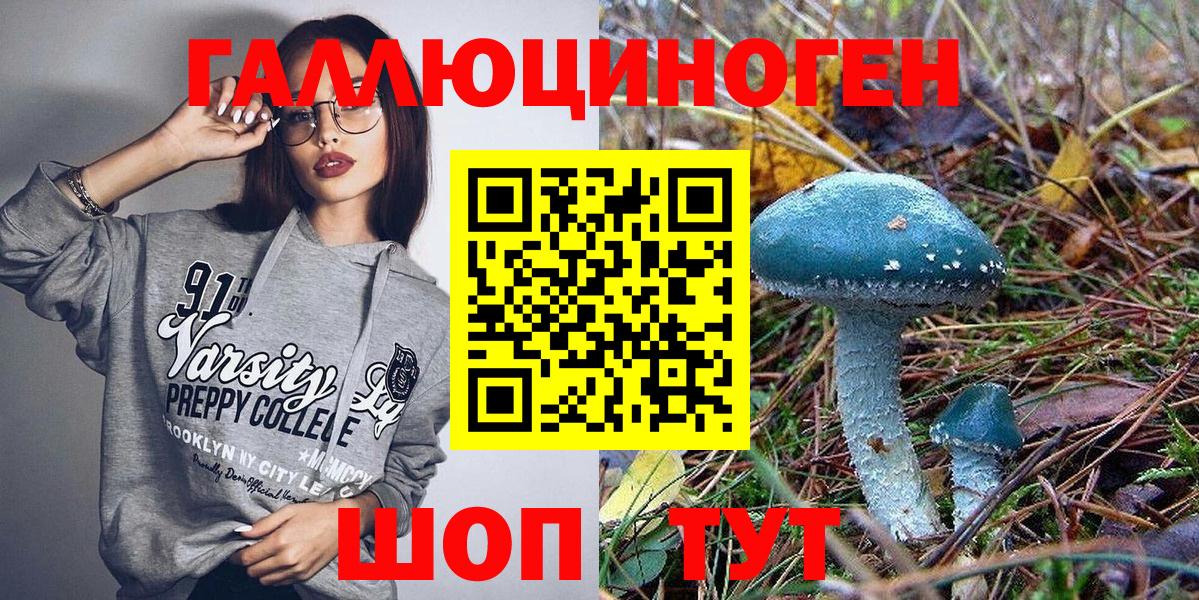 Псилоцибиновые грибы Psilocybe Советский