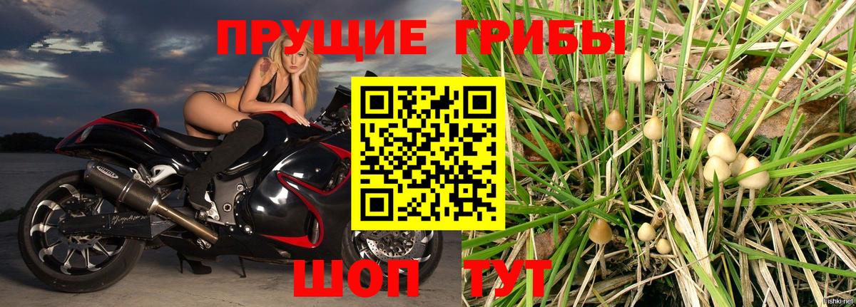 Советский  Псилоцибиновые грибы Psilocybine cubensis  где продают   Вход с VPN  Галлюциногенные грибы Cubensis 